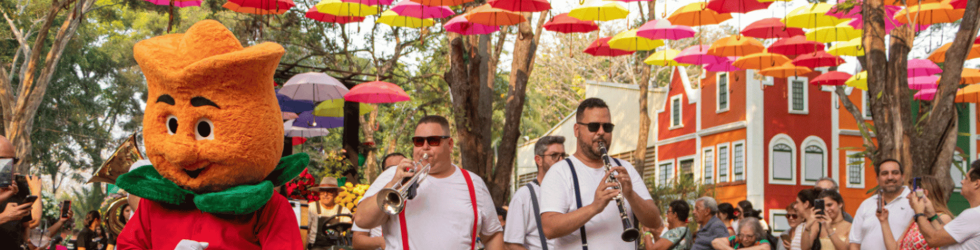 �guas de Lind�ia, Expoflora e Po�os de Caldas